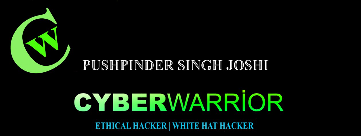 Cyber Warrior+